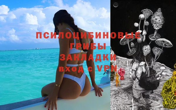 прущие грибы Михайловка