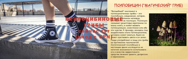 ПСИЛОЦИБИНОВЫЕ ГРИБЫ Михайлов