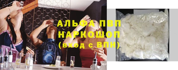 ПСИЛОЦИБИНОВЫЕ ГРИБЫ Михайлов