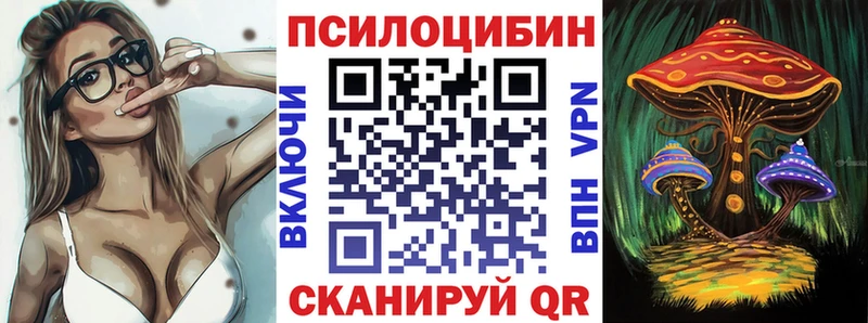 что такое Раменское Псилоцибиновые грибы Psilocybine cubensis